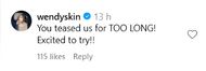Fan' comment (image via Instagram)